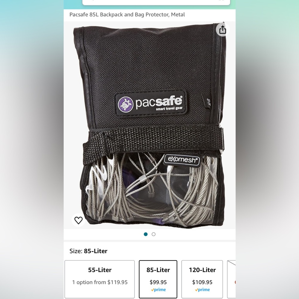 Pacsafe 85L backpack protection